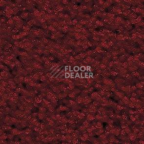 Ковролин Balsan Les First Les First 582 фото 1 | FLOORDEALER
