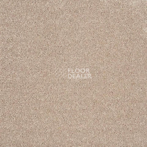 Ковролин Tarkett Sensa Sensa 87268 фото 1 | FLOORDEALER