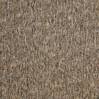 Ковролин AW Savannah 39 фото 1 | FLOORDEALER
