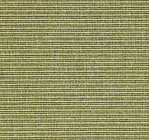 Ковролин Carpet Concept Eco 2 6733 фото 1 | FLOORDEALER