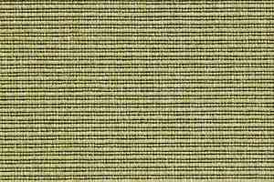 Ковролин Carpet Concept Eco 2 6733 фото  | FLOORDEALER