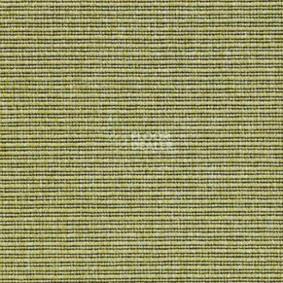 Ковролин Carpet Concept Eco 2 6733 фото 1 | FLOORDEALER