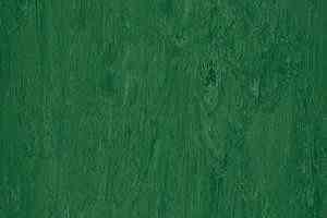 Линолеум Polyflor Xl Pu 3830 фото  | FLOORDEALER