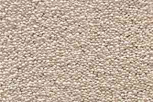 Ковролин AW Souplesse 33 фото  | FLOORDEALER