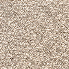 Ковролин AW Souplesse 33 фото 1 | FLOORDEALER