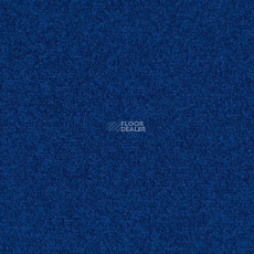 Desso Palatino 8512 фото 1 | FLOORDEALER