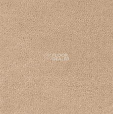 Ковролин Creatuft Sheba 1764 фото 1 | FLOORDEALER