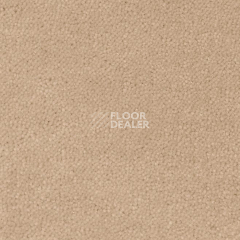 Ковролин Creatuft Sheba 1764 фото 1 | FLOORDEALER