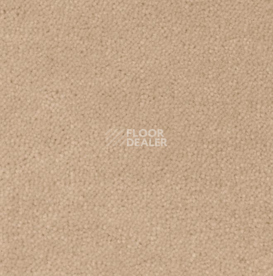 Ковролин Creatuft Sheba 1764 фото 1 | FLOORDEALER