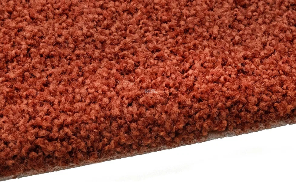 Vorwerk Exclusive1009/Elara 1m16 фото 4 | FLOORDEALER