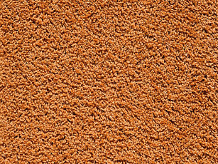 Ковролин Balta Euphoria 125 фото 1 | FLOORDEALER