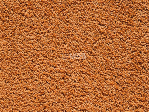 Ковролин Balta Euphoria 125 фото 1 | FLOORDEALER