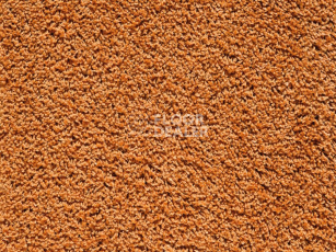 Ковролин Balta Euphoria 125 фото 1 | FLOORDEALER