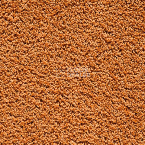 Ковролин Balta Euphoria 125 фото 1 | FLOORDEALER