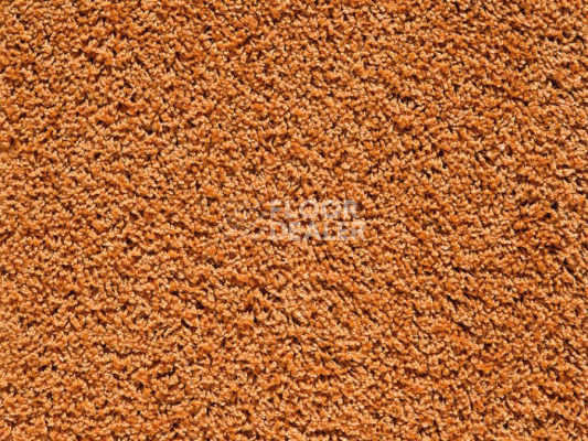 Ковролин Balta Euphoria 125 фото 1 | FLOORDEALER