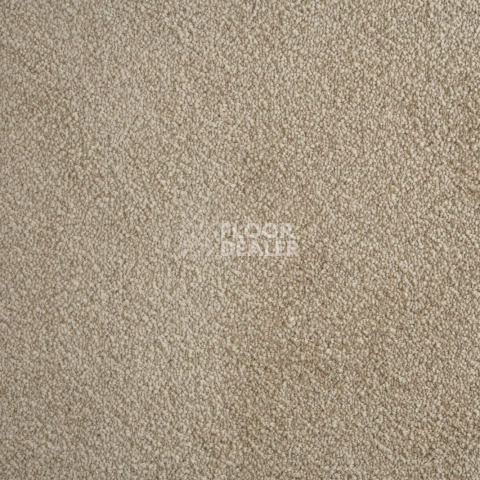 AW Passion AW Passion  36 фото 2 | FLOORDEALER