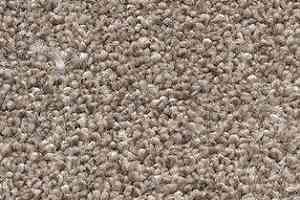 Ковролин AW Perseus 37 фото  | FLOORDEALER