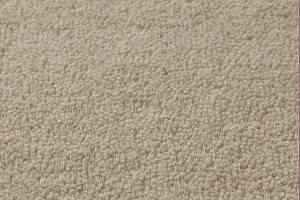 Ковролин Jacaranda Carpets Sambar Pearl фото  | FLOORDEALER