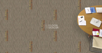 Chakra Chakra 795 фото 2 | FLOORDEALER