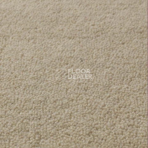 Ковролин Jacaranda Carpets Sambar Pearl фото 1 | FLOORDEALER