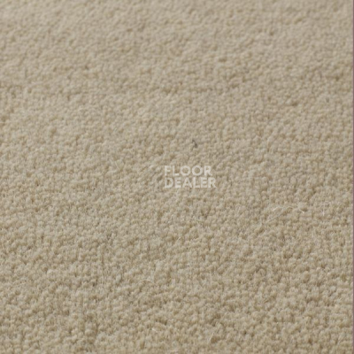 Ковролин Jacaranda Carpets Sambar Pearl фото 1 | FLOORDEALER