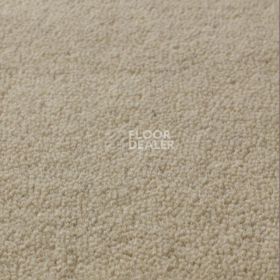 Ковролин Jacaranda Carpets Sambar Pearl фото 1 | FLOORDEALER