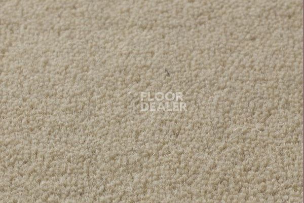 Ковролин Jacaranda Carpets Sambar Pearl фото 1 | FLOORDEALER