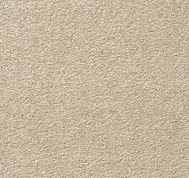 Ковролин Vorwerk Passion 1004 Vorwerk 8j00 фото 1 | FLOORDEALER