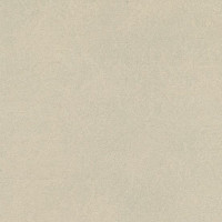 Линолеум Marmorette DLW 2.5mm 0251 Cream фото 1 | FLOORDEALER