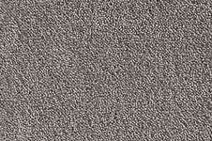 Ковролин AW Energy 49 фото  | FLOORDEALER