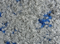 Ковровая плитка ColorKey ColorKey a 07 фото 1 | FLOORDEALER