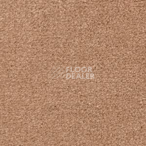 Ковролин Radici Montecarlo 48 фото 1 | FLOORDEALER