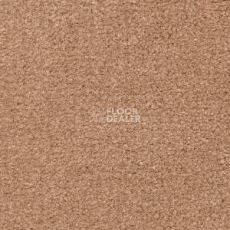 Ковролин Radici Montecarlo 48 фото 1 | FLOORDEALER