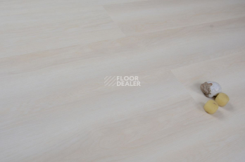 Evofloor Optima Click 4.2мм Дуб Сишел фото 3 | FLOORDEALER
