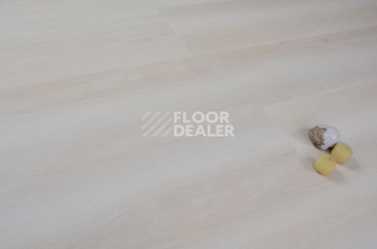 Evofloor Optima Click 4.2мм Дуб Сишел фото 3 | FLOORDEALER