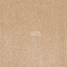 Ковролин AW Sonrisa 34 фото 1 | FLOORDEALER