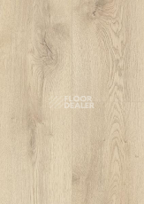 Ламинат Wineo 700 Wood XXL V4 8мм LA229XXLV4 Дуб Шведский Песочный фото 1 | FLOORDEALER