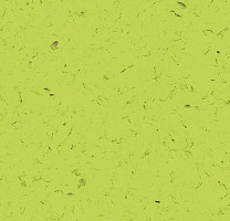 Кварцвиниловые полы Forbo Allura Colour C68025 фото 1 | FLOORDEALER