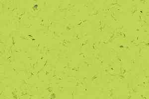 Кварцвиниловые полы Forbo Allura Colour C68025 фото  | FLOORDEALER