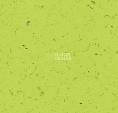 Кварцвиниловые полы Forbo Allura Colour C68025 фото 1 | FLOORDEALER