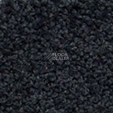 Ковролин Girloon Body1 581 фото 1 | FLOORDEALER