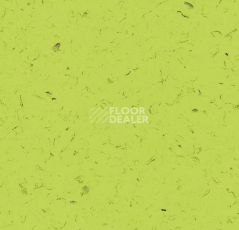 Кварцвиниловые полы Forbo Allura Colour C68025 фото 1 | FLOORDEALER