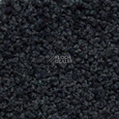 Ковролин Girloon Body1 581 фото 1 | FLOORDEALER