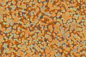 Ковролин Halbmond Tiles & More 4 tm 4-047-05 фото  | FLOORDEALER