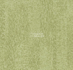 Ковровая плитка Flotex Colour Penang 50*50 t 382006 Penang Sage фото 1 | FLOORDEALER