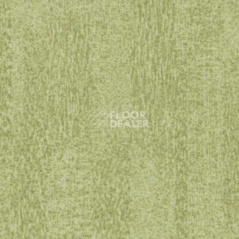 Ковровая плитка Forbo Flotex Colour Penang 50*50 t 382006 Penang Sage фото 1 | FLOORDEALER