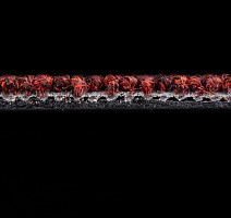 AW Medusa 11 фото 4 | FLOORDEALER