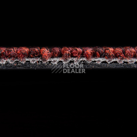 AW Medusa 11 фото 4 | FLOORDEALER