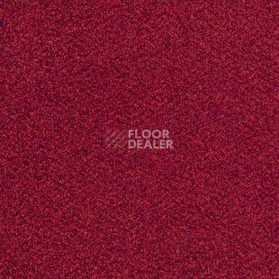 Ковролин Desso Torso B 4301 фото 1 | FLOORDEALER
