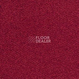 Ковролин Desso Torso B 4301 фото 1 | FLOORDEALER